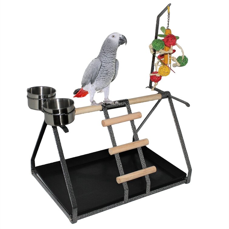 African grey play top gym